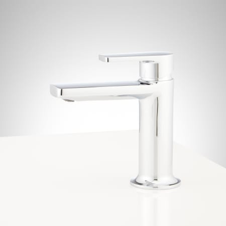 A large image of the Signature Hardware 953646 Alternate Image