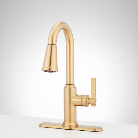 A large image of the Signature Hardware 953746 Alternate Image