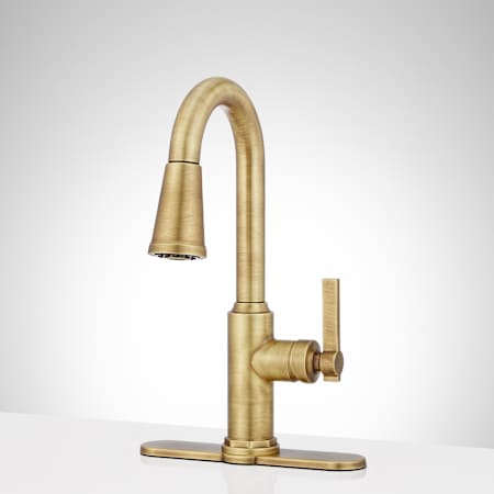 A large image of the Signature Hardware 953746 Alternate Image