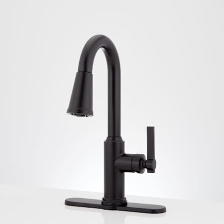 A large image of the Signature Hardware 953746 Alternate Image