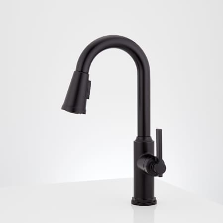 A large image of the Signature Hardware 953746 Alternate Image