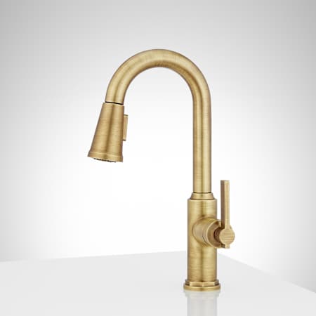 A large image of the Signature Hardware 953746 Alternate Image