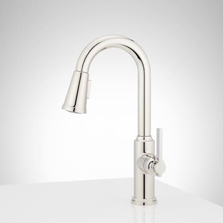 A large image of the Signature Hardware 953746 Alternate Image