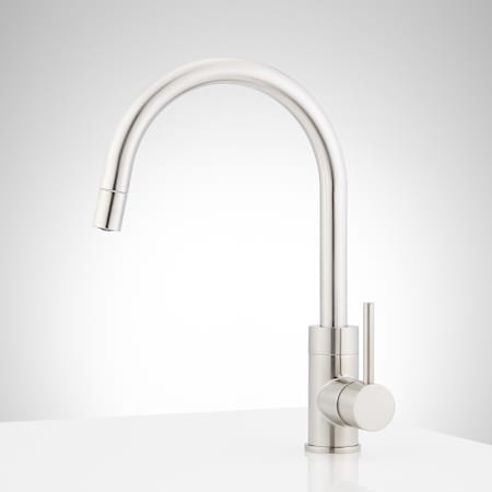 A large image of the Signature Hardware 953907 Alternate Image