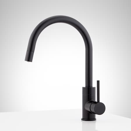 A large image of the Signature Hardware 953907 Alternate Image