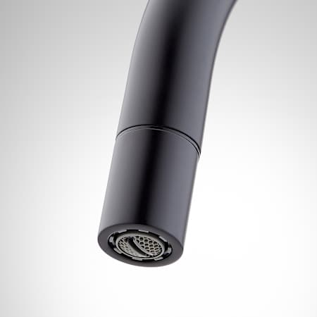 A large image of the Signature Hardware 953907 Alternate Image