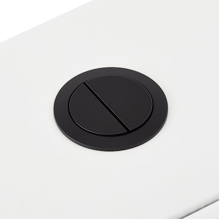 A large image of the Signature Hardware 481198 Matte Black