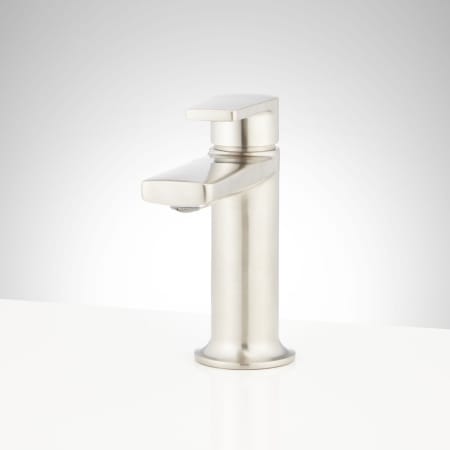 A large image of the Signature Hardware 953646 Brushed Nickel