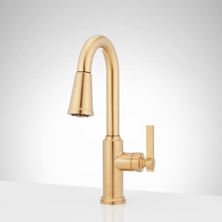 A large image of the Signature Hardware 953746 Brushed Gold