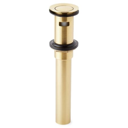 A large image of the Signature Hardware 940815 Polished Brass