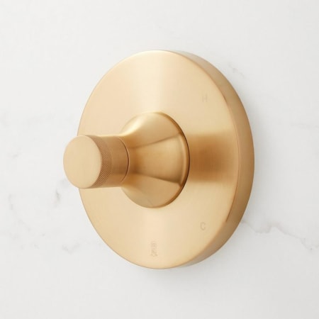 A large image of the Signature Hardware SHLZPBKNOB Brushed Gold