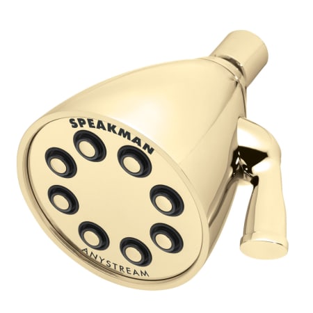 A large image of the Speakman S-2251-E175 Alternate Image