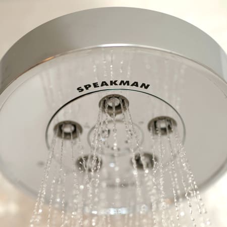 A large image of the Speakman S-3010-E175 Speakman-S-3010-E175-Alternate Image