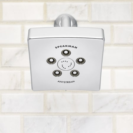 A large image of the Speakman S-3021-E2 Speakman-S-3021-E2-Alternative View