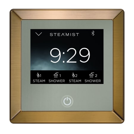 A large image of the Steamist TSC-450 Brushed Bronze