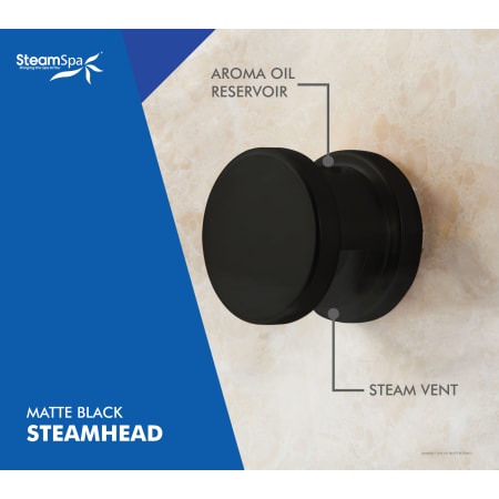 A large image of the SteamSpa BKT1050-A Alternate Image