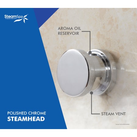 A large image of the SteamSpa BKT1200-A Alternate Image