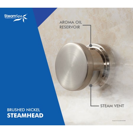 A large image of the SteamSpa BKT750-A Alternate Image