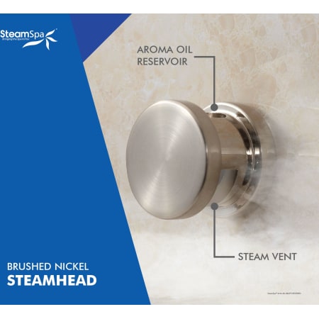 A large image of the SteamSpa G-SH Alternate Image
