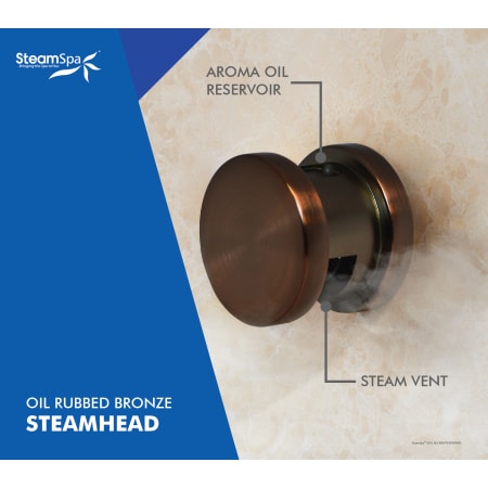 A large image of the SteamSpa OAT750 Alternate View