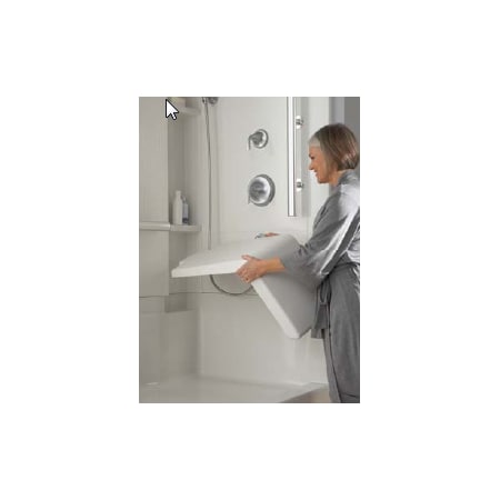 A large image of the Sterling 72290103 Woman with Accord Seated Shower