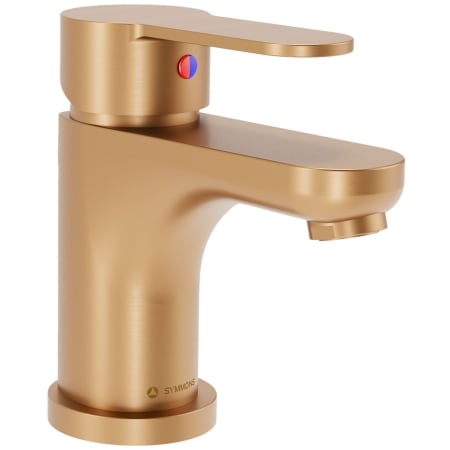 A large image of the Symmons SLS6712PP Brushed Bronze