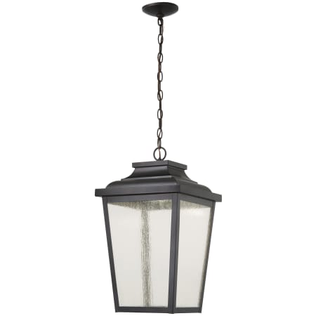 A large image of the The Great Outdoors 72175-L Pendant with Canopy