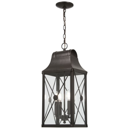 A large image of the The Great Outdoors 73298 Pendant with Canopy