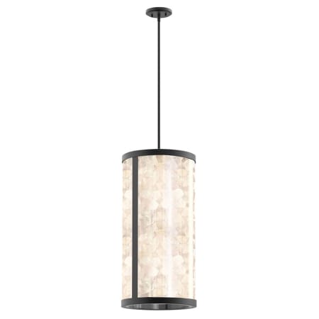 A large image of the The Great Outdoors 8186-L Pendant with Canopy