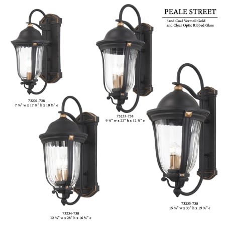 A large image of the The Great Outdoors 73233 Peale Street Wall Light Collection