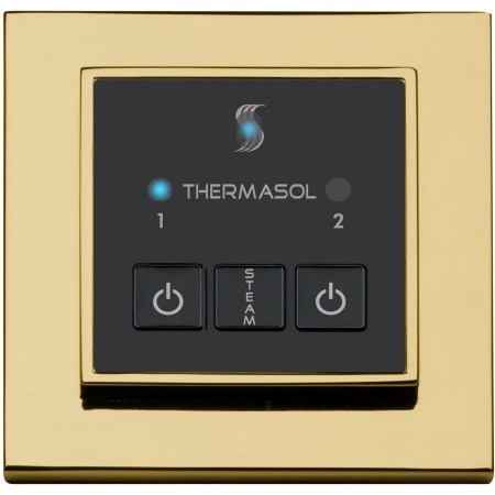 A large image of the ThermaSol ESM Polished Gold