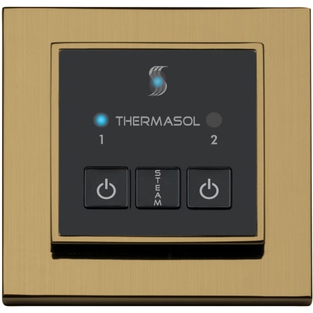 A large image of the ThermaSol ESM Satin Brass