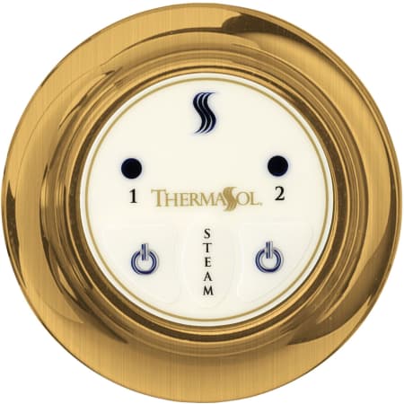 A large image of the ThermaSol EST Antique Brass