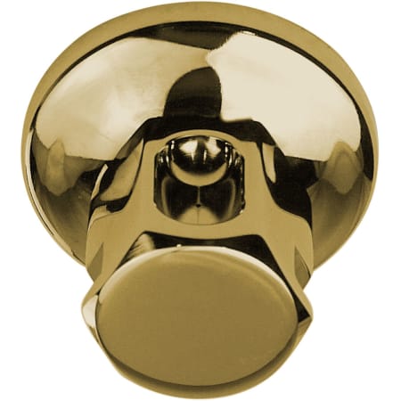 A large image of the ThermaSol OSS Polished Brass