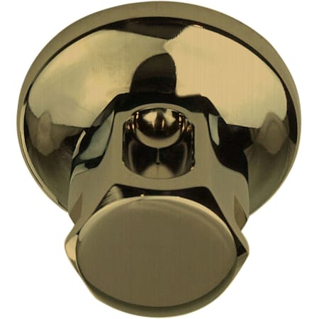 A large image of the ThermaSol OSS Satin Brass