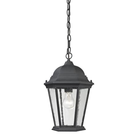 A large image of the Thomas Lighting 8101EH Matte Textured Black