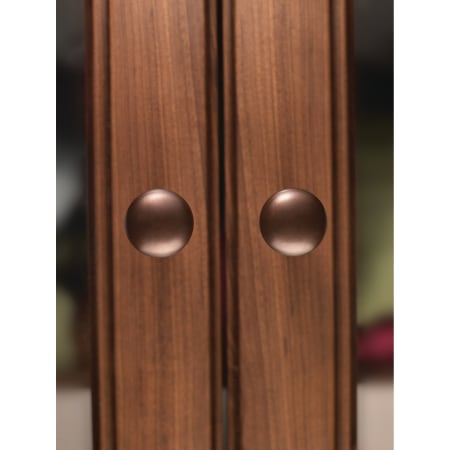 A large image of the Top Knobs M1550 Alternate Image
