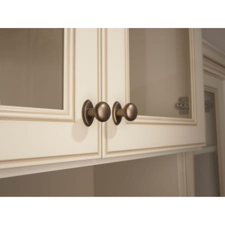 A large image of the Top Knobs M1550 Alternate Image