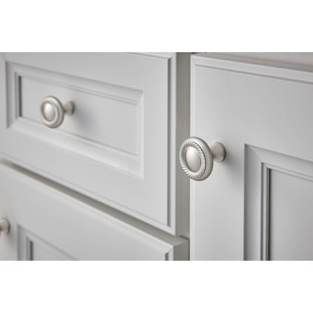 A large image of the Top Knobs M1584 Alternate Image