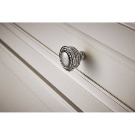 A large image of the Top Knobs M200 Alternate Image