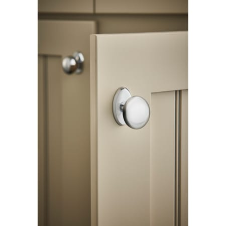 A large image of the Top Knobs M2080 Alternate Image