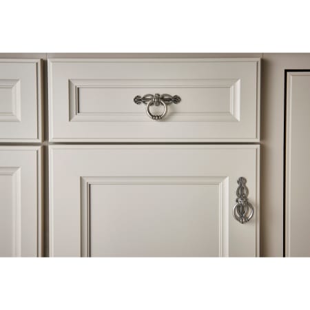 A large image of the Top Knobs M222 Alternate Image