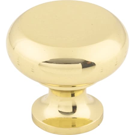 A large image of the Top Knobs M269 Polished Brass