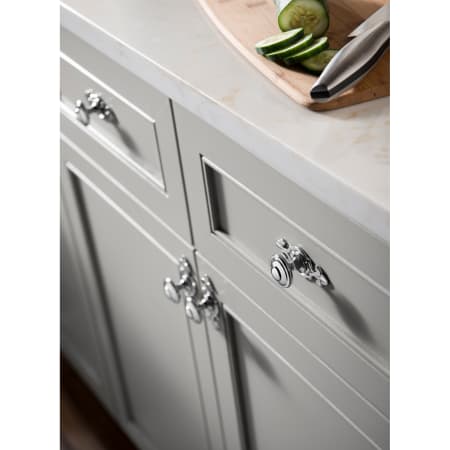 A large image of the Top Knobs M30 Alternate Image