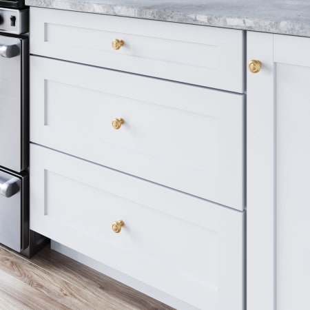 A large image of the Top Knobs TK3070 Alternate View