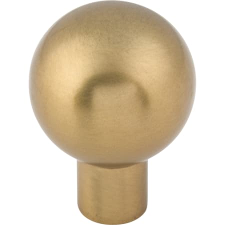 A large image of the Top Knobs TK760 Honey Bronze