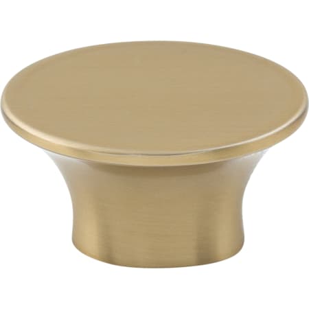 A large image of the Top Knobs TK781 Honey Bronze