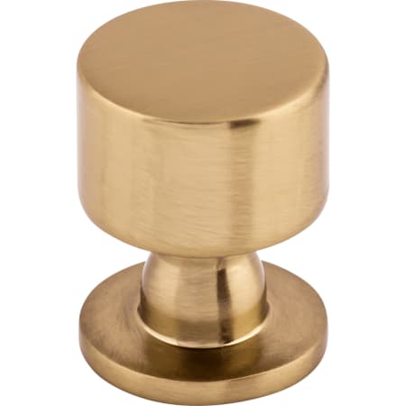 A large image of the Top Knobs TK820 Honey Bronze