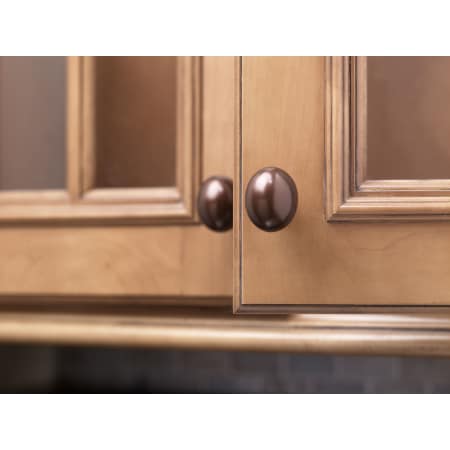 A large image of the Top Knobs M1533 Top Knobs M1533