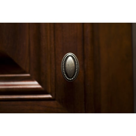 A large image of the Top Knobs M401 Alternate View